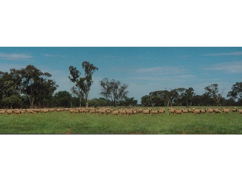 18km from Warren on Carinda Road, Warren NSW 2824