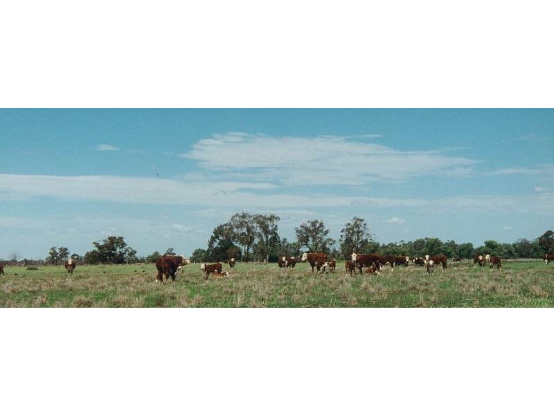 18km from Warren on Carinda Road, Warren NSW 2824