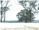 1R Dulcidene Road, Dubbo NSW 2830