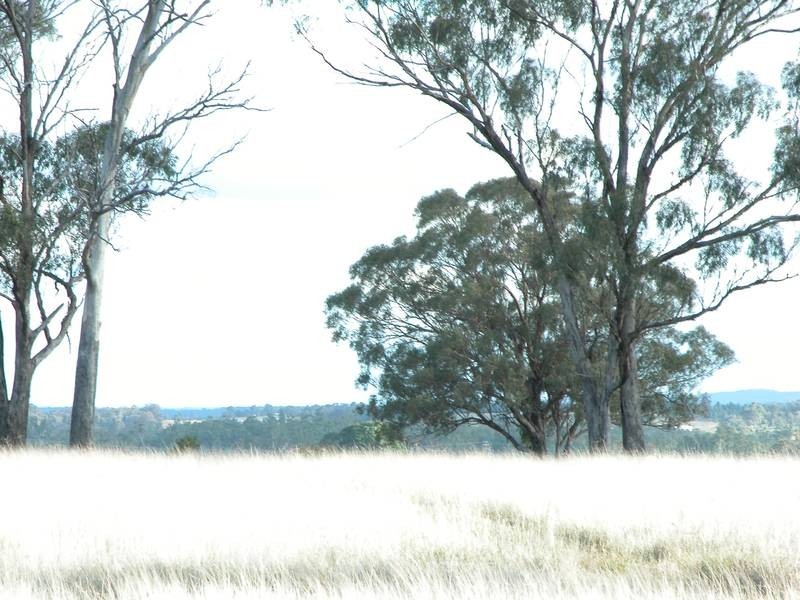 1R Dulcidene Road, Dubbo NSW 2830