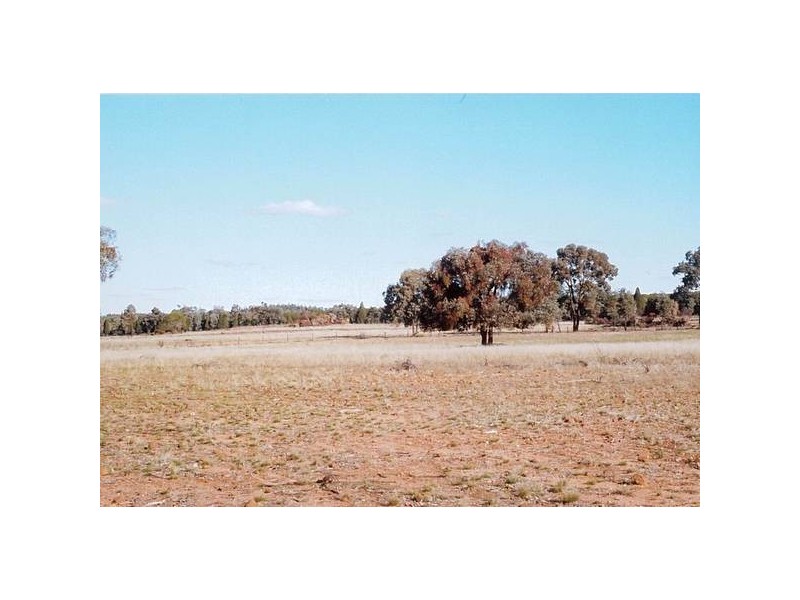 Dubbo/Dunedoo Area, Elong Elong NSW 2831
