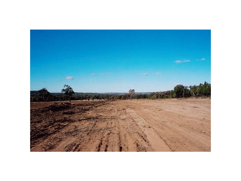 Dubbo/Dunedoo Area, Elong Elong NSW 2831