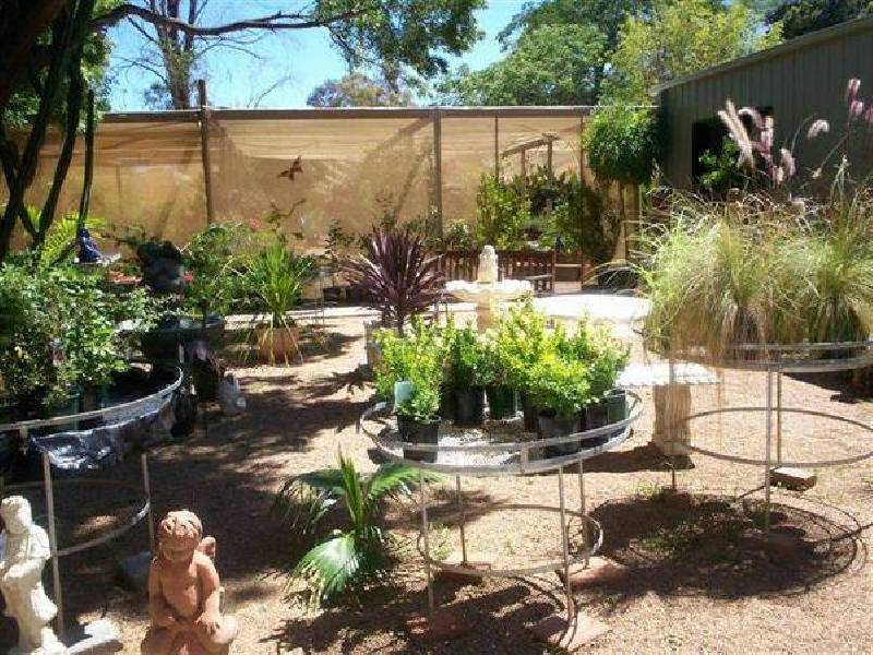 Mitchell Highway, Wellington NSW 2820