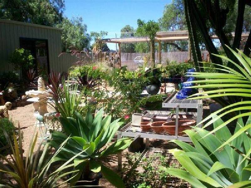 Mitchell Highway, Wellington NSW 2820