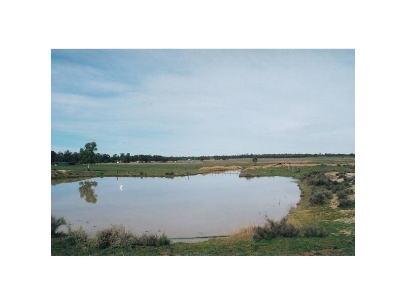Lagoon Creek Road, Dubbo NSW 2830