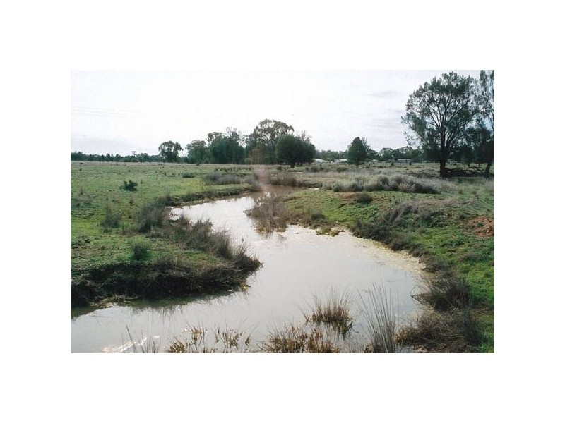 Lagoon Creek Road, Dubbo NSW 2830