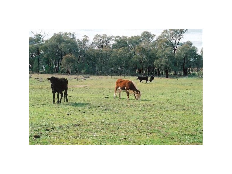 Lagoon Creek Road, Dubbo NSW 2830