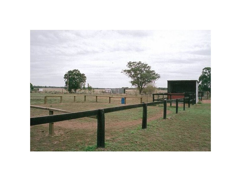 Lagoon Creek Road, Dubbo NSW 2830