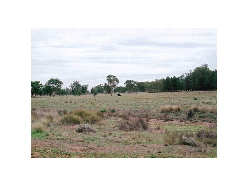 Lagoon Creek Road, Dubbo NSW 2830