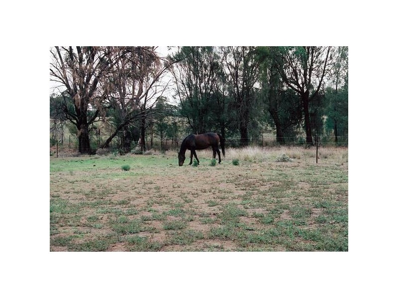 Lagoon Creek Road, Dubbo NSW 2830