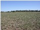 Lagoon Creek Road, Dubbo NSW 2830