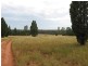 5R Torwood Road, Dubbo NSW 2830