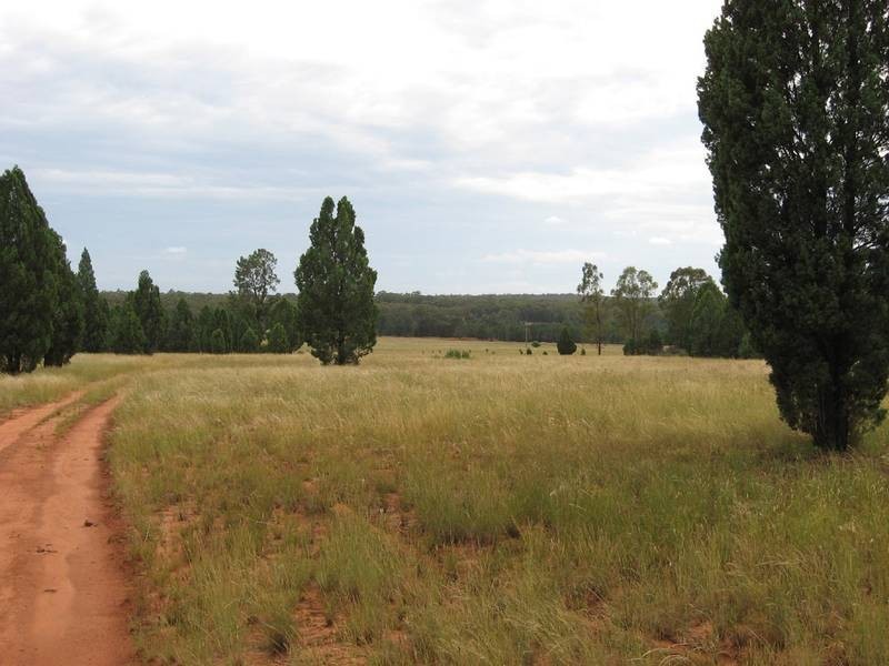 5R Torwood Road, Dubbo NSW 2830