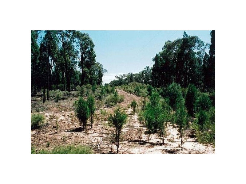 8L Delroy Road, Dubbo NSW 2830