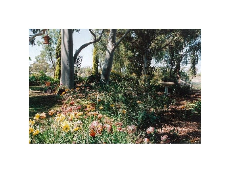 1L Pinehill Road, Dubbo NSW 2830