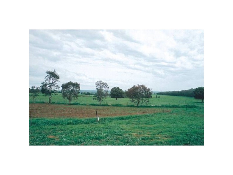 Wellington NSW 2820