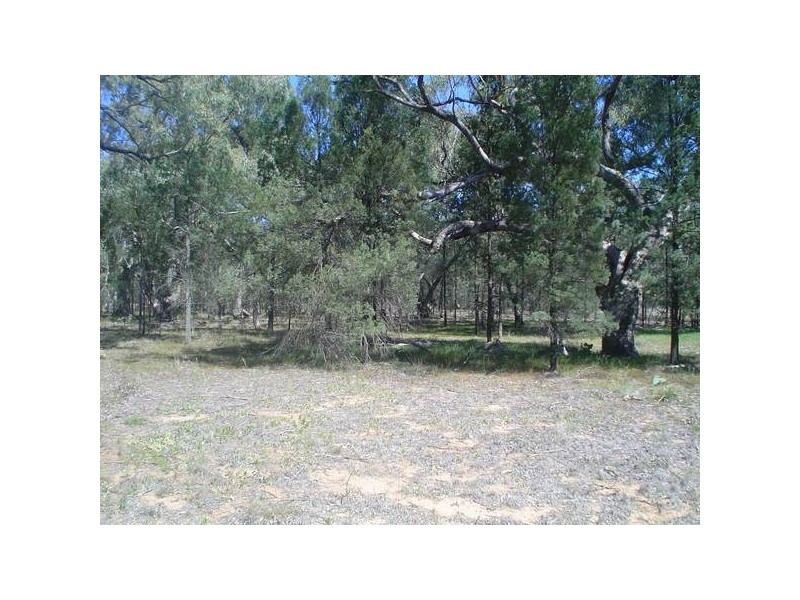 Lots 1 & 2 Dubbo Street, Elong Elong NSW 2831