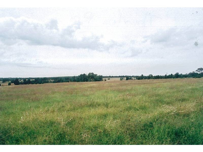 4L Thurloo Road, Firgrove, Dubbo NSW 2830