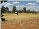 161 Lakeside Circuit, Dubbo NSW 2830
