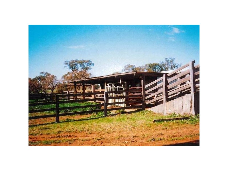 102L Benelong Road, Dubbo NSW 2830