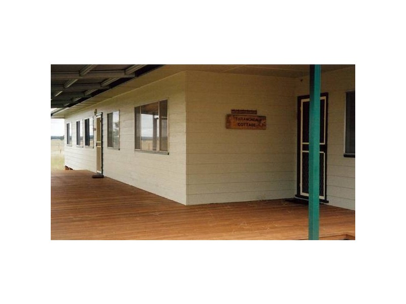 341 Donnelly Road, Dubbo NSW 2830