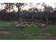 140L Obley Road, Dubbo NSW 2830