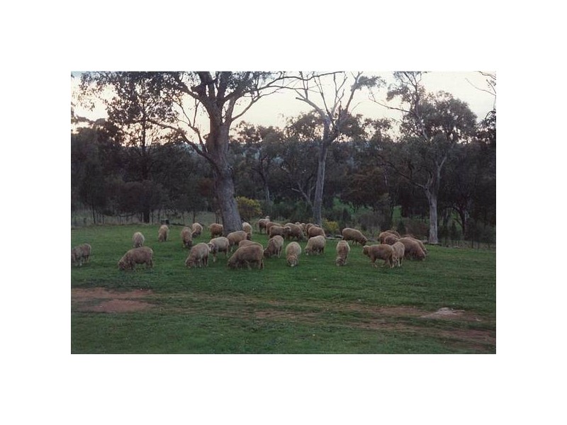 140L Obley Road, Dubbo NSW 2830