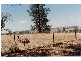 140L Obley Road, Dubbo NSW 2830