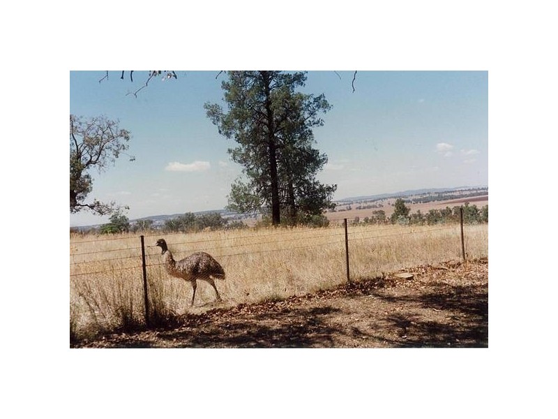 140L Obley Road, Dubbo NSW 2830