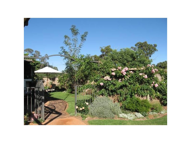 49 Enmore Street, Trangie NSW 2823