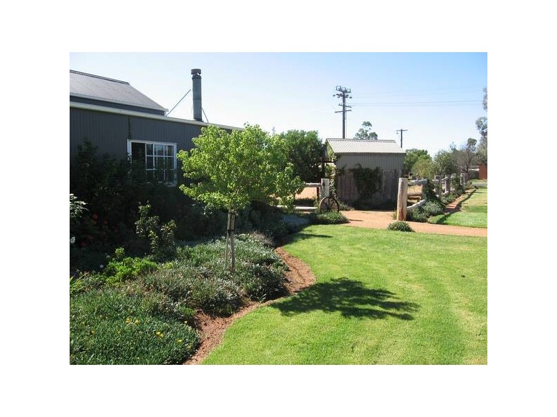 49 Enmore Street, Trangie NSW 2823