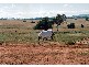 0 Cuthill, Deep Creek Road, Geurie NSW 2831