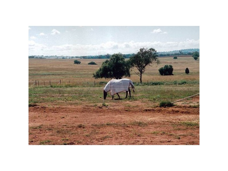 0 Cuthill, Deep Creek Road, Geurie NSW 2831