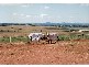 0 Cuthill, Deep Creek Road, Geurie NSW 2831