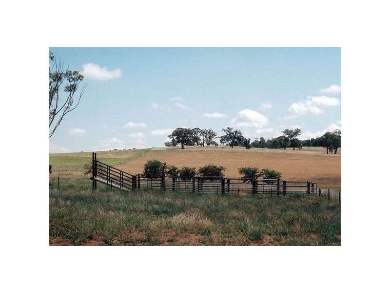 0 Cuthill, Deep Creek Road, Geurie NSW 2831