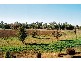 10L Gilgandra Road, Dubbo NSW 2830