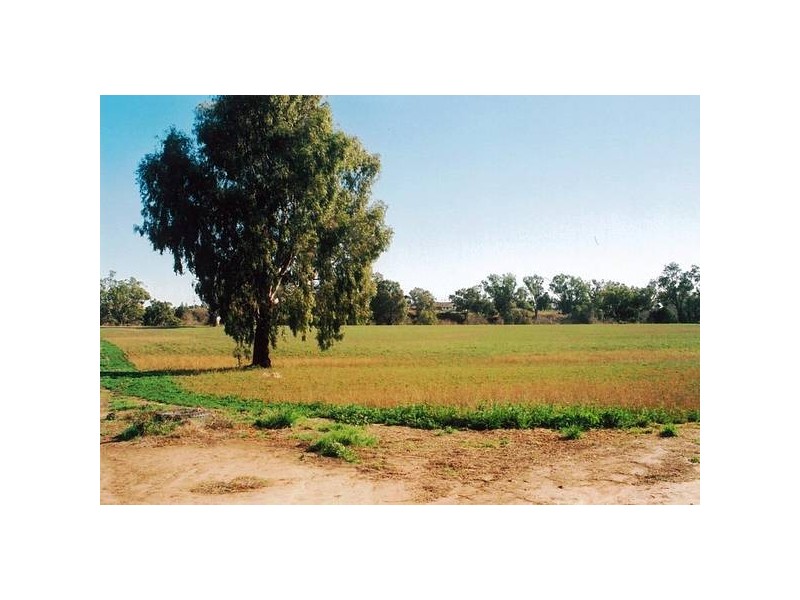 10L Gilgandra Road, Dubbo NSW 2830