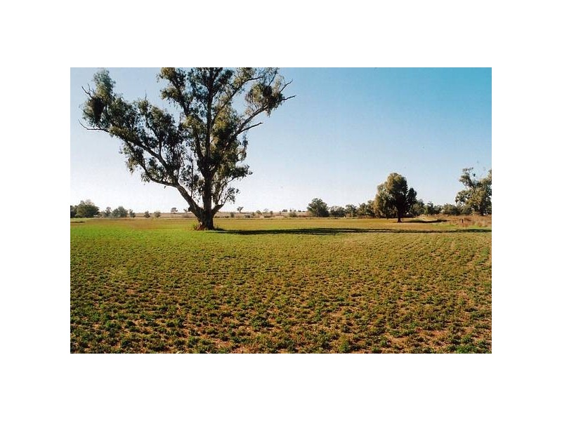 10L Gilgandra Road, Dubbo NSW 2830