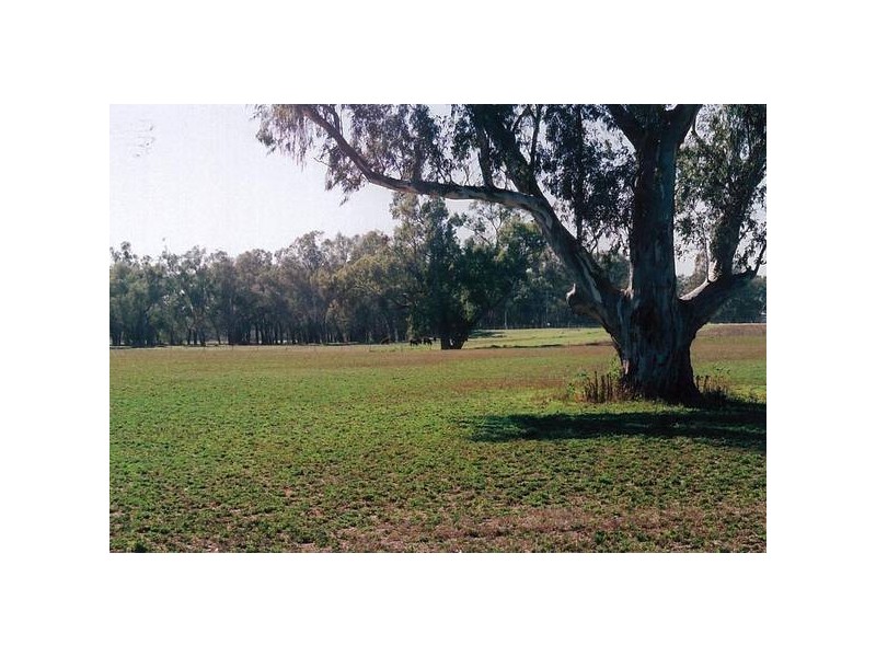 10L Gilgandra Road, Dubbo NSW 2830