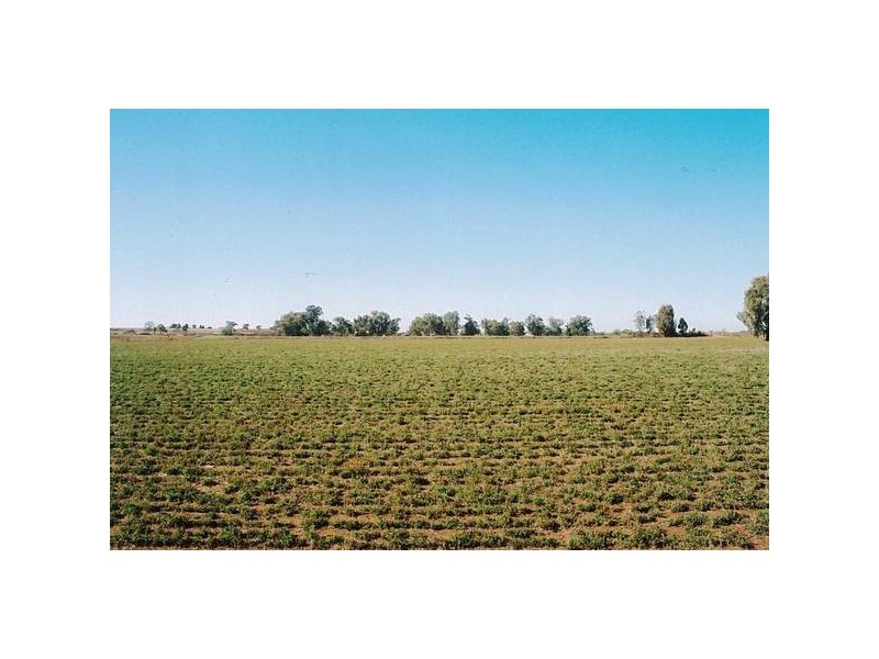 10L Gilgandra Road, Dubbo NSW 2830