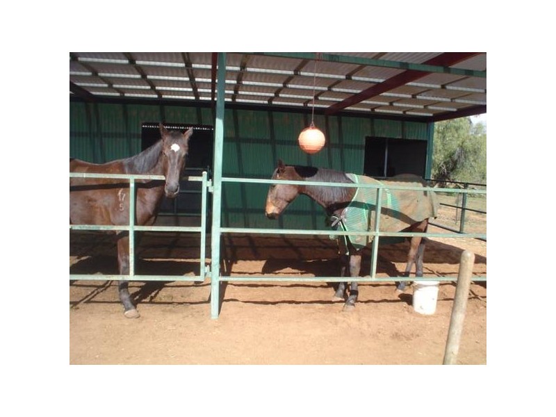 11R Rosedale Road, Dubbo NSW 2830