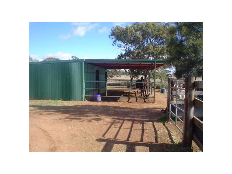 11R Rosedale Road, Dubbo NSW 2830