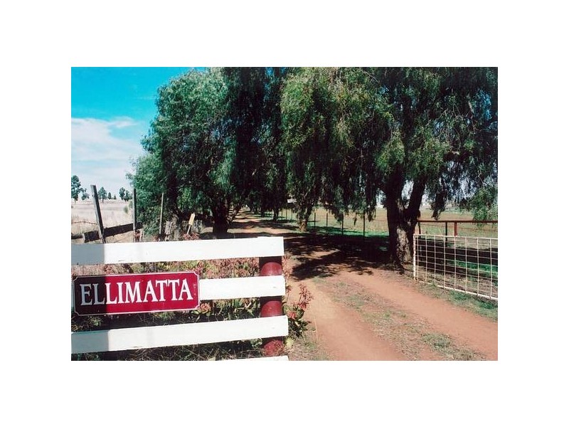 24R Eulomongo Road, Dubbo NSW 2830