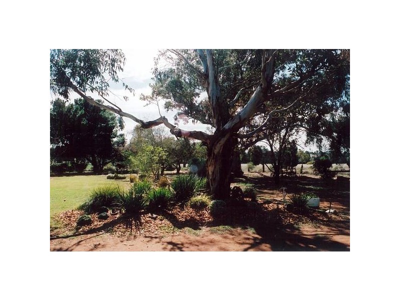 24R Eulomongo Road, Dubbo NSW 2830