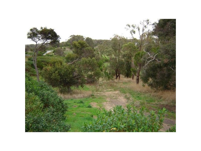 418 Arthurs View, Fingal VIC 3939