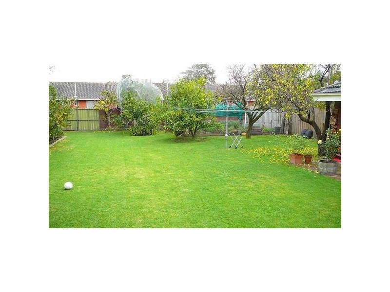 53 Edgar Street, Glen Iris VIC 3146