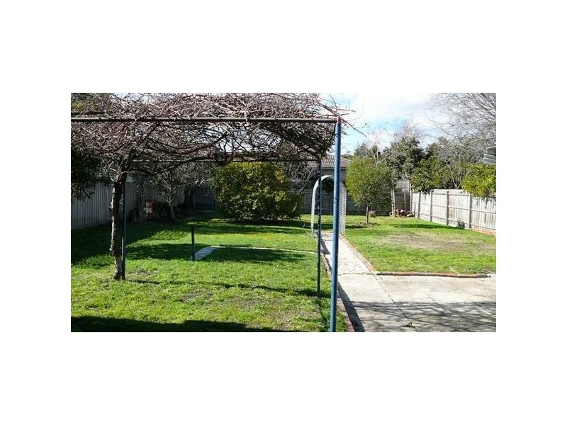 Webb Street, Glen Iris VIC 3146