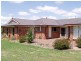 Bibby’s Lane, Werai NSW 2577