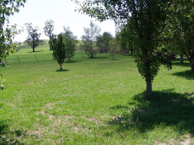 Bibby’s Lane, Werai NSW 2577