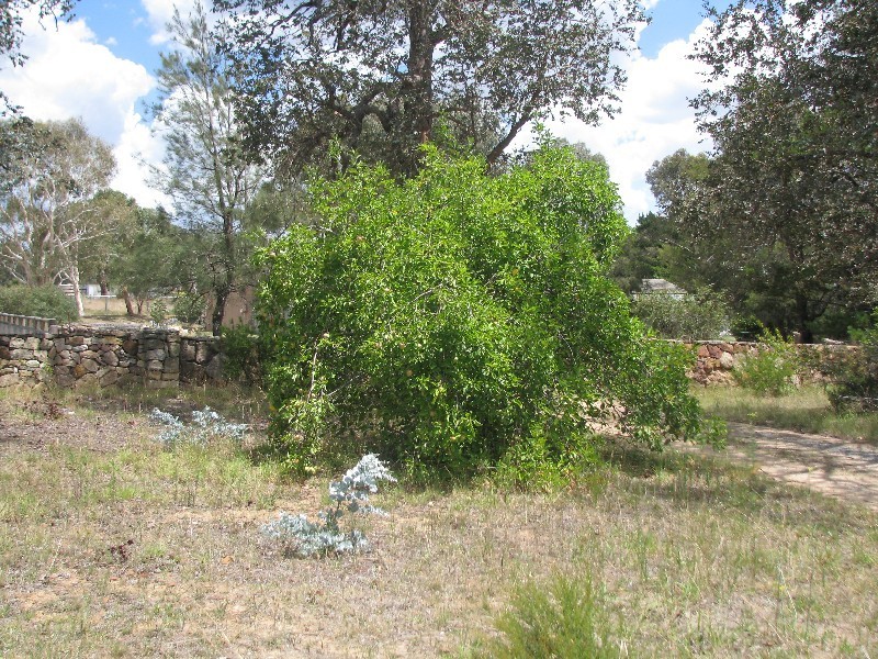 Lot 2 Cnr Murrumb Rd & Hume Highway, Wingello NSW 2579